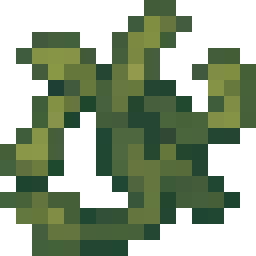 Seaweeds